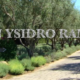 San Ysidro Ranch