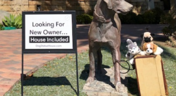 Looking for new owner, House Included