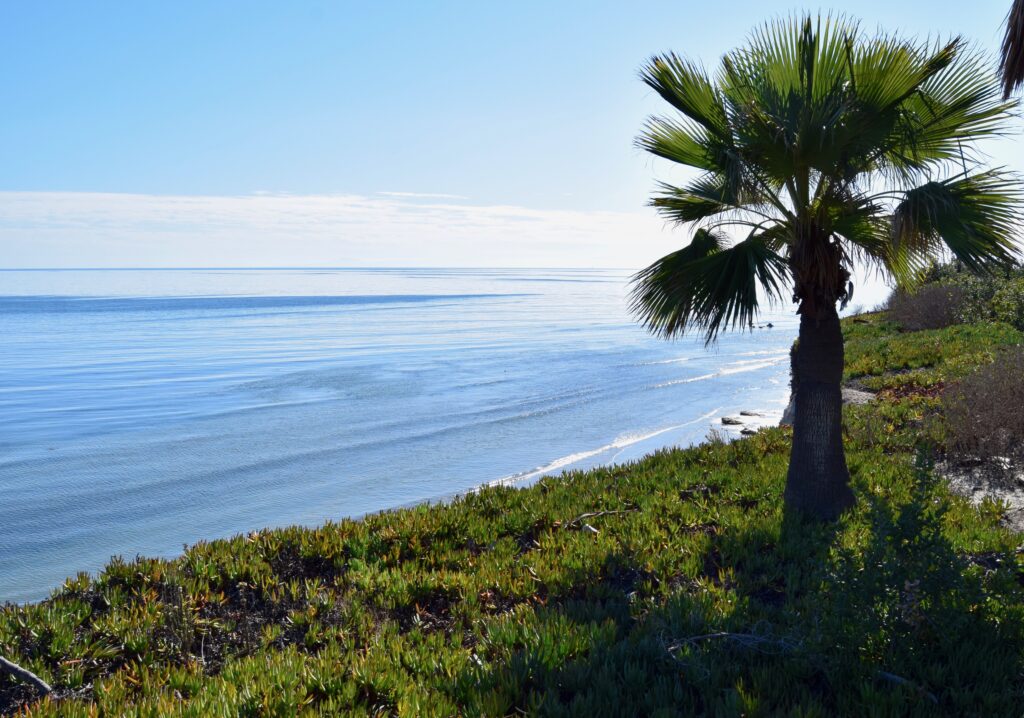 Campus Point Santa Barbara